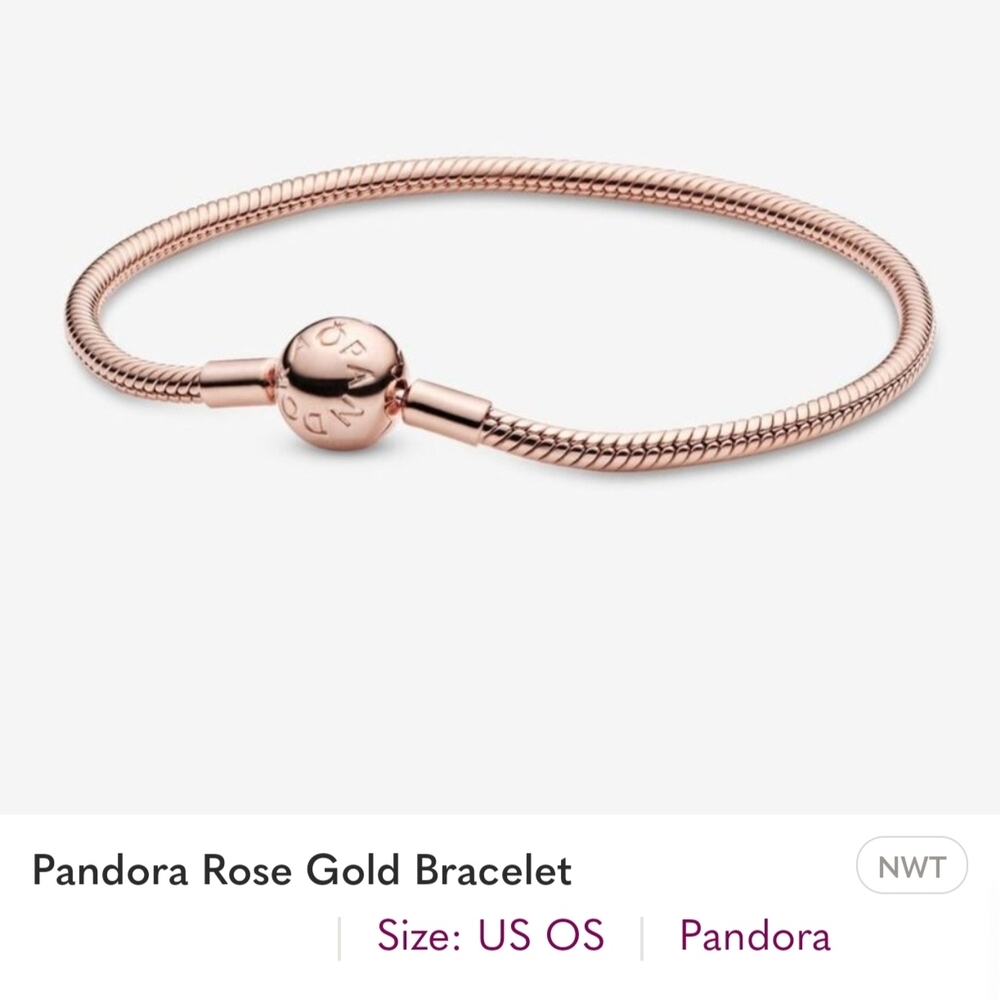 Pandora Gold Bracelet Snake Chain Design